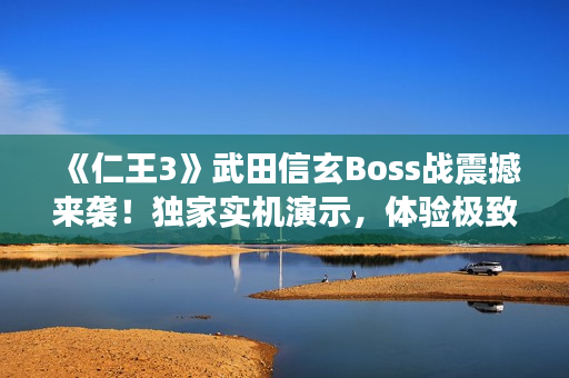 《仁王3》武田信玄Boss战震撼来袭！独家实机演示，体验极致战斗快感！