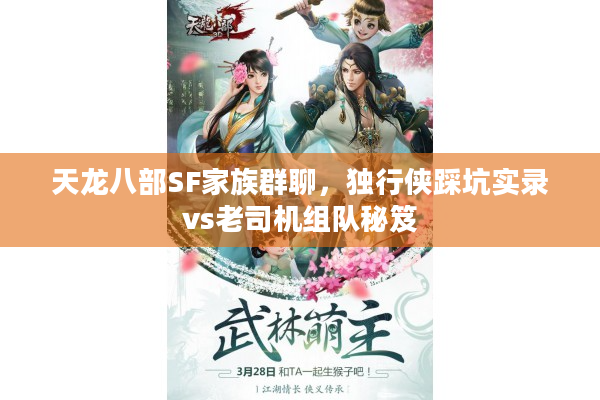 天龙八部SF家族群聊，独行侠踩坑实录vs老司机组队秘笈