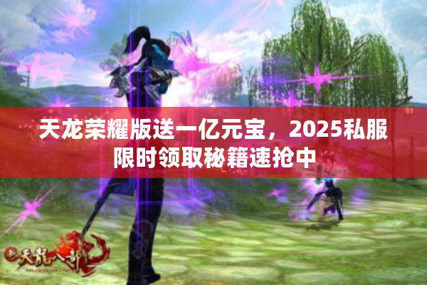 天龙荣耀版送一亿元宝，2025私服限时领取秘籍速抢中