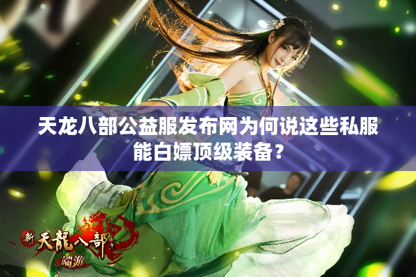 天龙八部公益服发布网为何说这些私服能白嫖顶级装备？