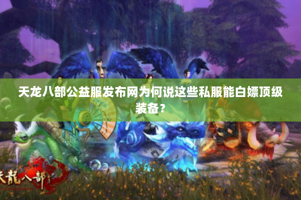 天龙八部公益服发布网为何说这些私服能白嫖顶级装备？