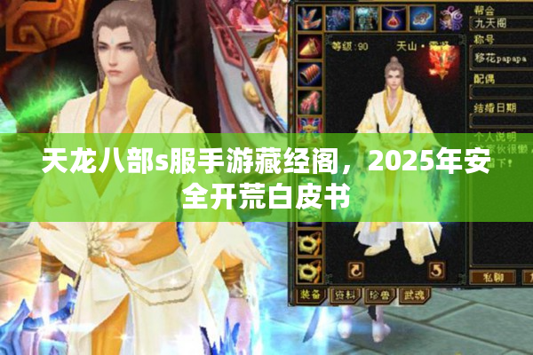 天龙八部s服手游藏经阁，2025年安全开荒白皮书