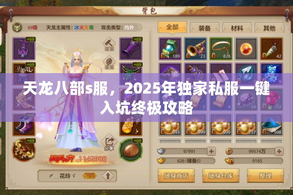天龙八部s服，2025年独家私服一键入坑终极攻略