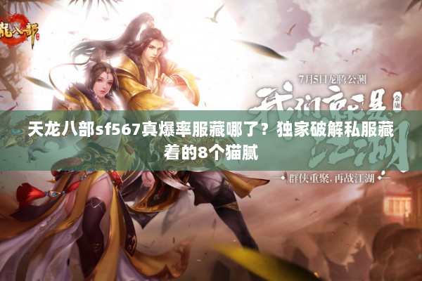 天龙八部sf567真爆率服藏哪了？独家破解私服藏着的8个猫腻