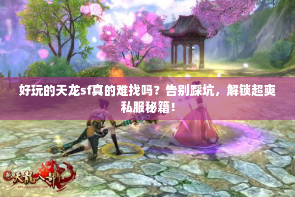 好玩的天龙sf真的难找吗？告别踩坑，解锁超爽私服秘籍！