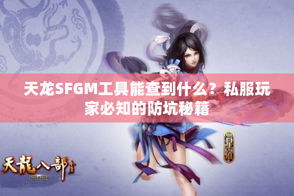天龙SFGM工具能查到什么？私服玩家必知的防坑秘籍