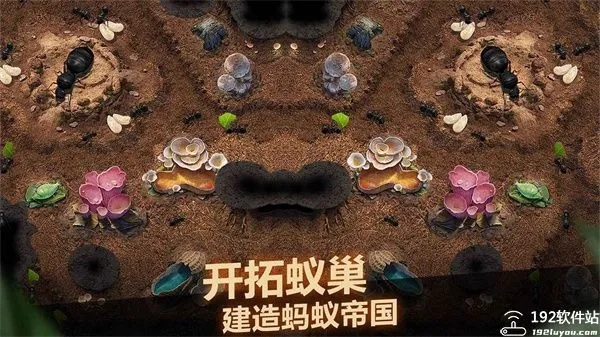 小小蚁国加盟联盟优势盘点 小小蚁国加盟联盟优势盘点