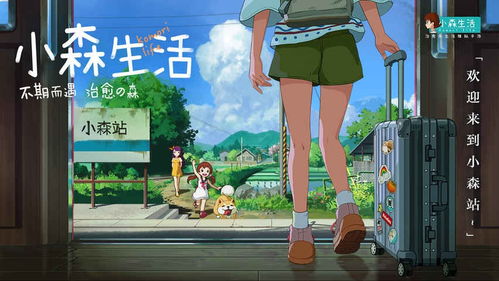 小森生活猪肉获取攻略