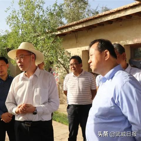 江南百景图苏武珍宝搭配攻略