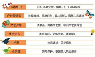 悠长假期养鸡攻略：收益分析速览
