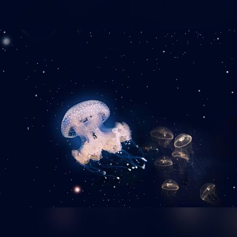 腾讯《硅基宇宙》全网预约量100万！无边界开放冒险