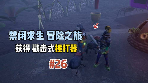禁闭求生2蚋虫高效抓取攻略,快速获取资源 禁闭求生2蚋虫高效抓取攻略,快速获取资源