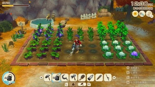 牧场物语风之繁华集市紫色宝珠攻略：揭秘紫色宝珠制作道具全解析
