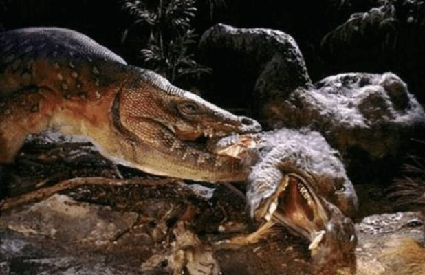 打蛇王龙总被龙车接甩尾秒?老猎人用1个环境技巧把死亡率降了70% 打蛇王龙总被龙车接甩尾秒?老猎人用1个环境技巧把死亡率降了70%